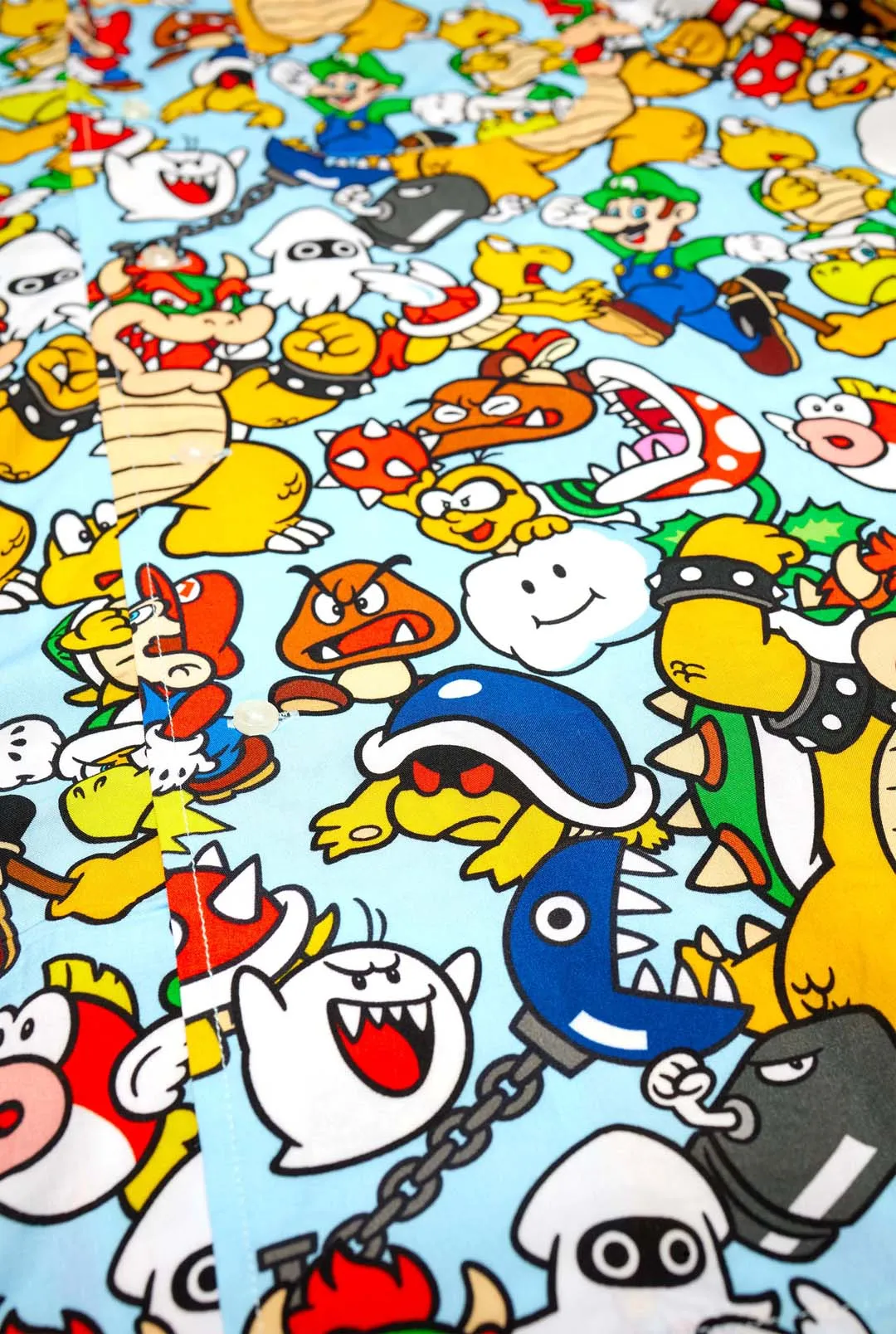 Bowsers Kingdom