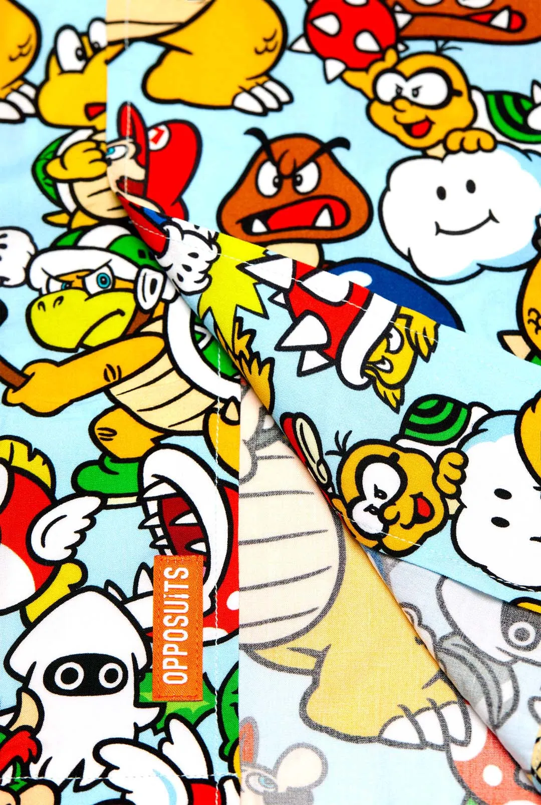Bowsers Kingdom