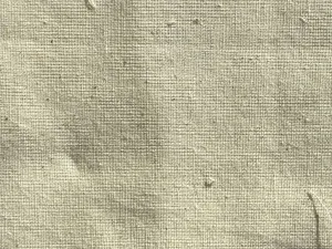 Cream Plain Greige 20s Pure Cotton Shitting Fabric